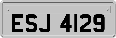 ESJ4129