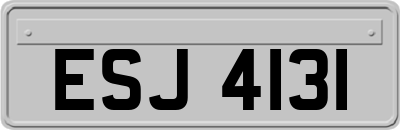 ESJ4131