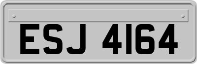 ESJ4164