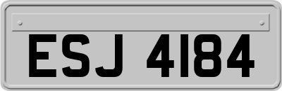 ESJ4184