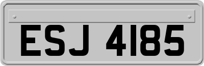 ESJ4185