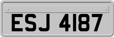 ESJ4187