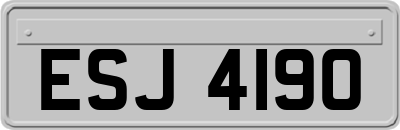 ESJ4190