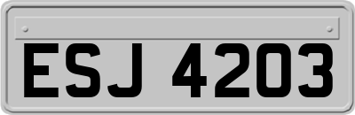 ESJ4203