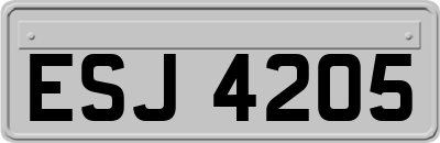 ESJ4205