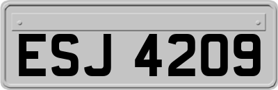 ESJ4209