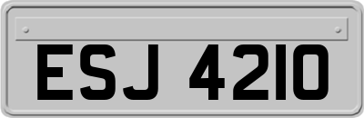 ESJ4210