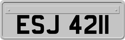 ESJ4211