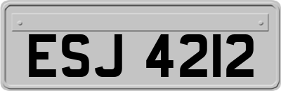 ESJ4212