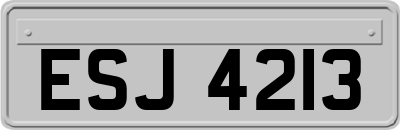 ESJ4213