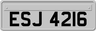 ESJ4216