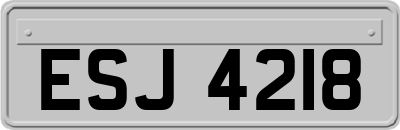 ESJ4218