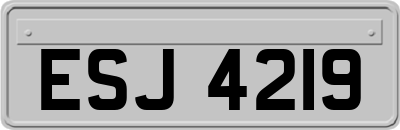 ESJ4219