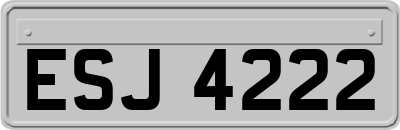 ESJ4222