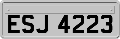 ESJ4223