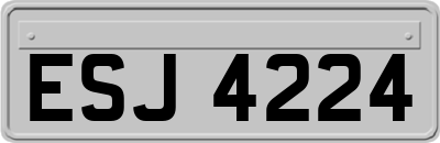 ESJ4224