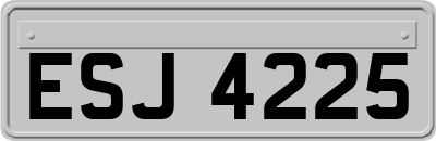 ESJ4225