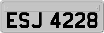ESJ4228
