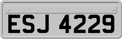 ESJ4229