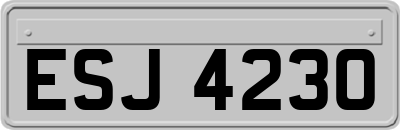 ESJ4230