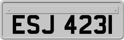 ESJ4231
