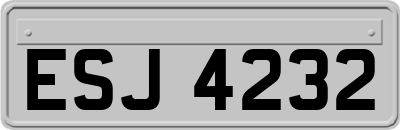ESJ4232