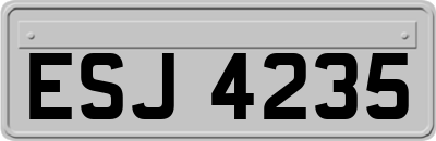 ESJ4235