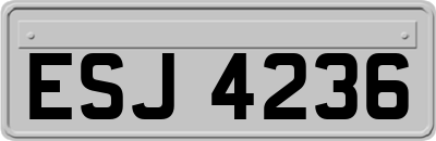 ESJ4236