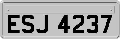 ESJ4237
