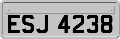 ESJ4238
