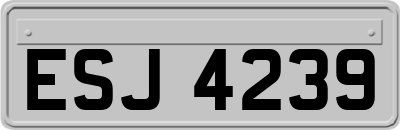 ESJ4239