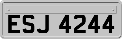 ESJ4244