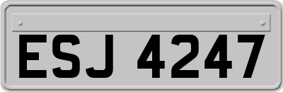 ESJ4247