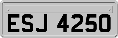 ESJ4250