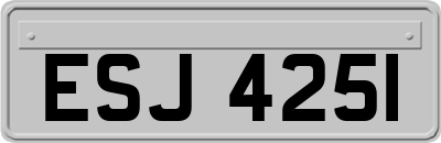 ESJ4251