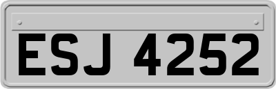 ESJ4252