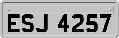 ESJ4257