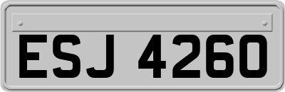 ESJ4260