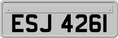 ESJ4261