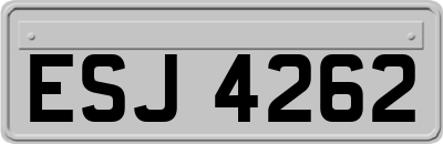 ESJ4262