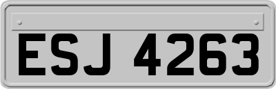 ESJ4263