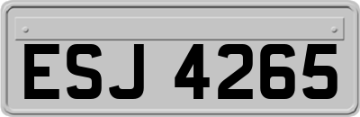 ESJ4265
