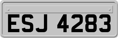ESJ4283