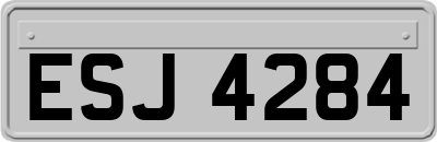 ESJ4284