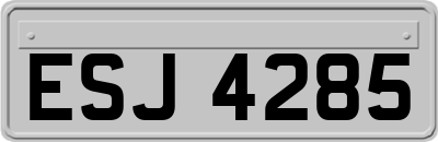ESJ4285