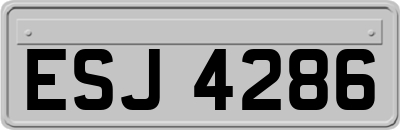 ESJ4286