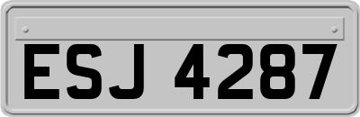 ESJ4287