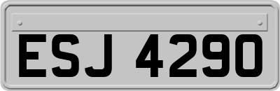 ESJ4290