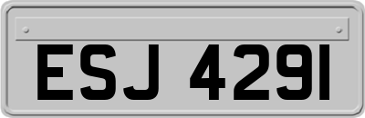 ESJ4291
