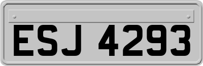 ESJ4293